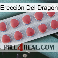 Erección Del Dragón 18